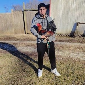 Meet your Posher, Armando